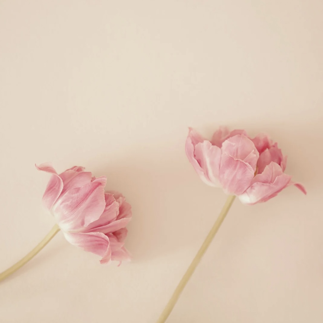 Rising Through the Storm: Choosing Resilience in Trying Times